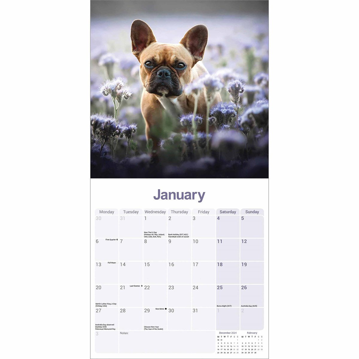 French Bulldog Calendar 2025 with Just French Bulldog Puppies 2025 Calendar Printable