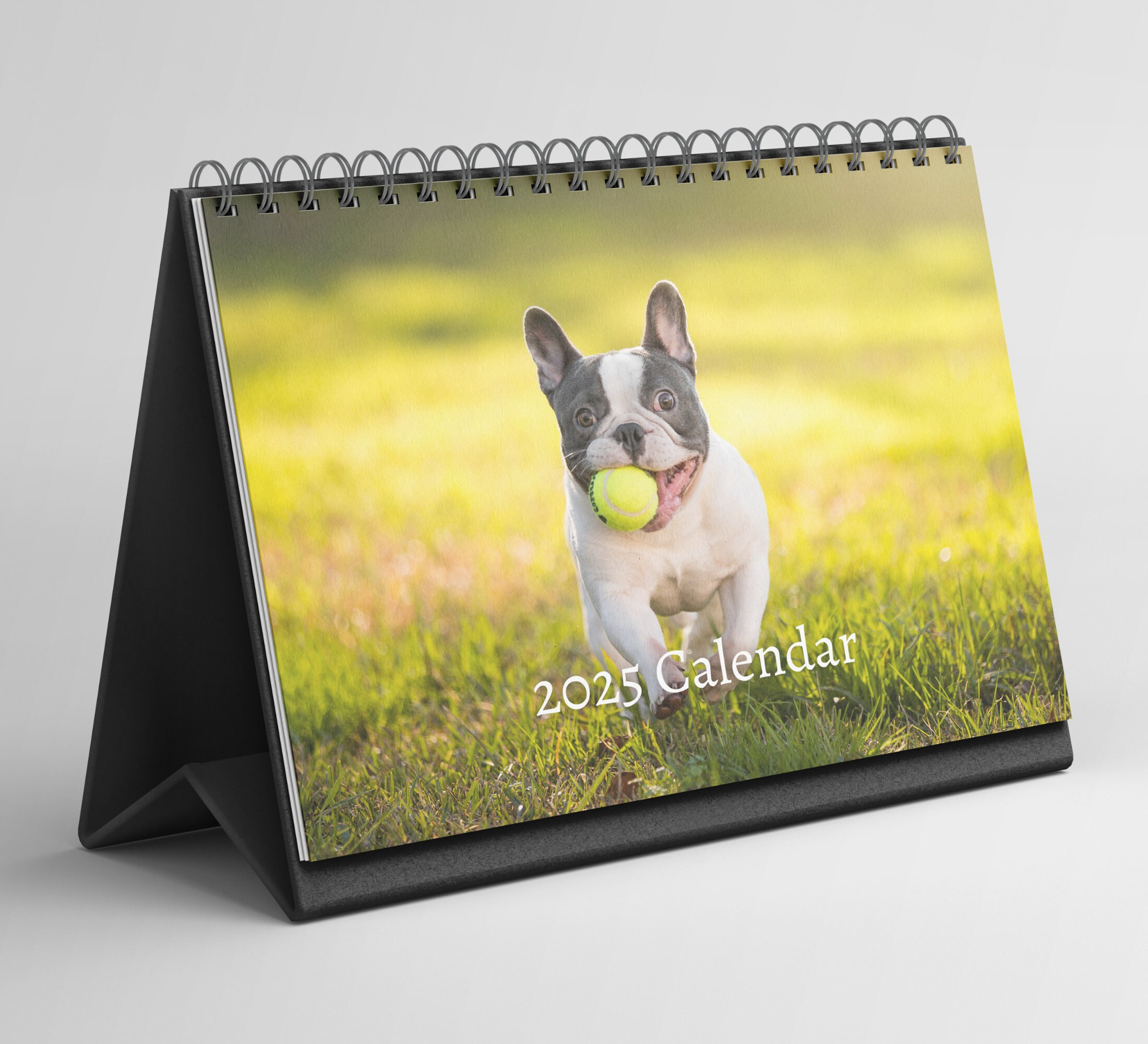 French Bulldog Desk Calendar 2025-2026: Standing Flip Desktop intended for Just French Bulldogs 2025 Calendar Printable