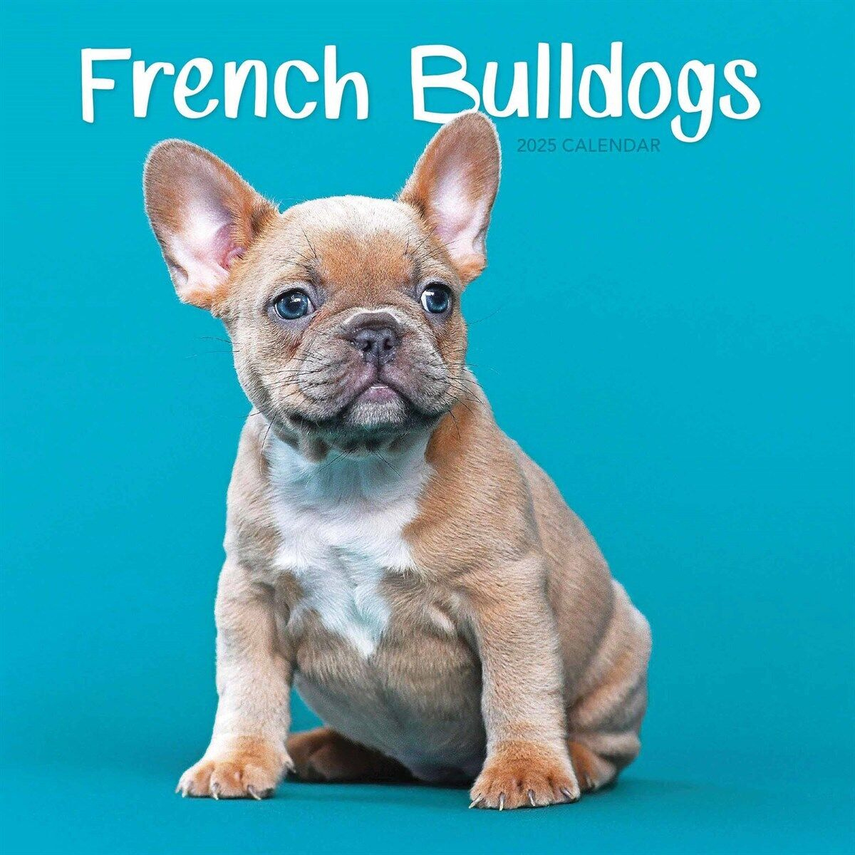 French Bulldogs Mini Calendar 2025 - Dogs - Month To View inside Just French Bulldog Puppies 2025 Calendar Printable