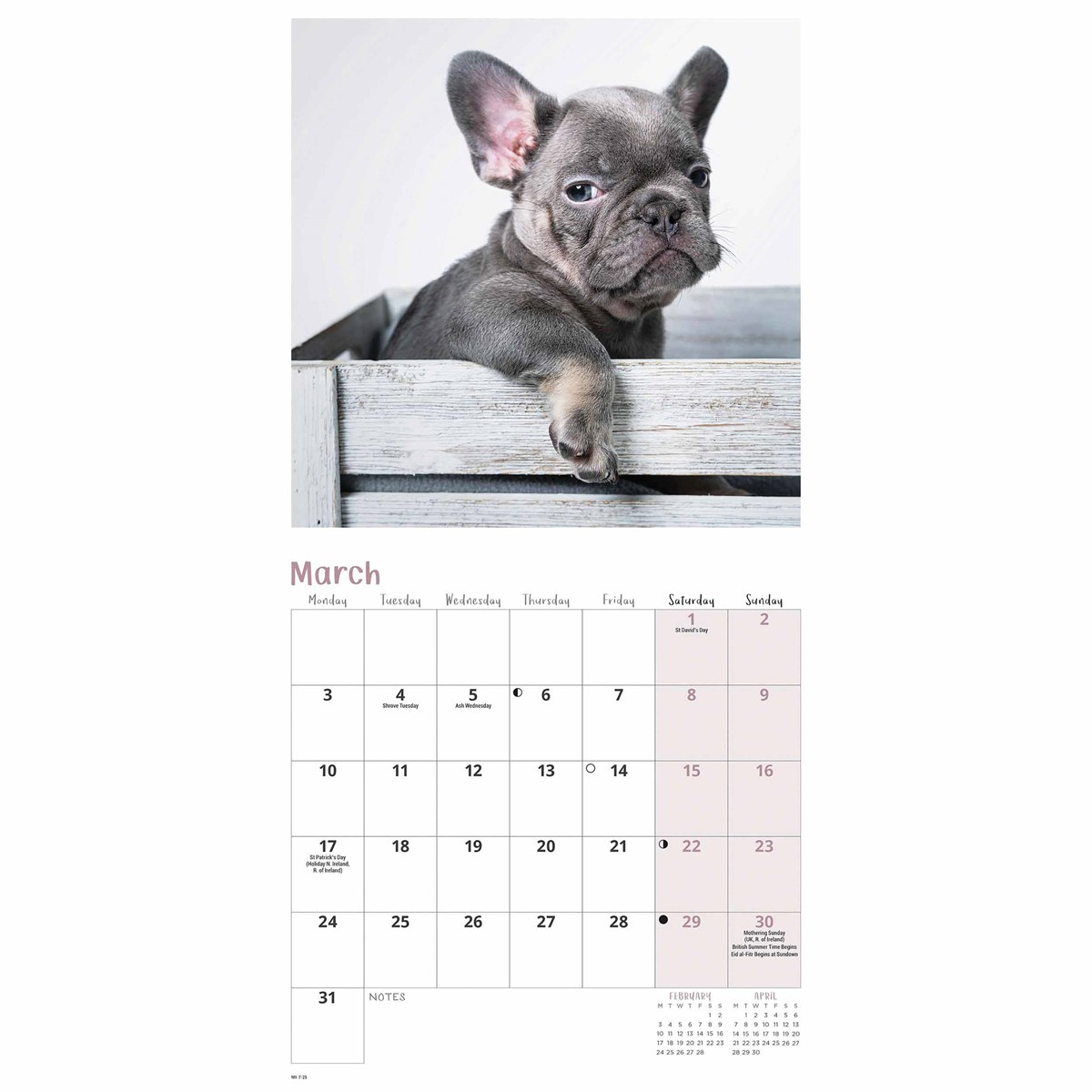 French Bulldogs Mini Calendar 2025 throughout Just French Bulldogs 2025 Calendar Printable