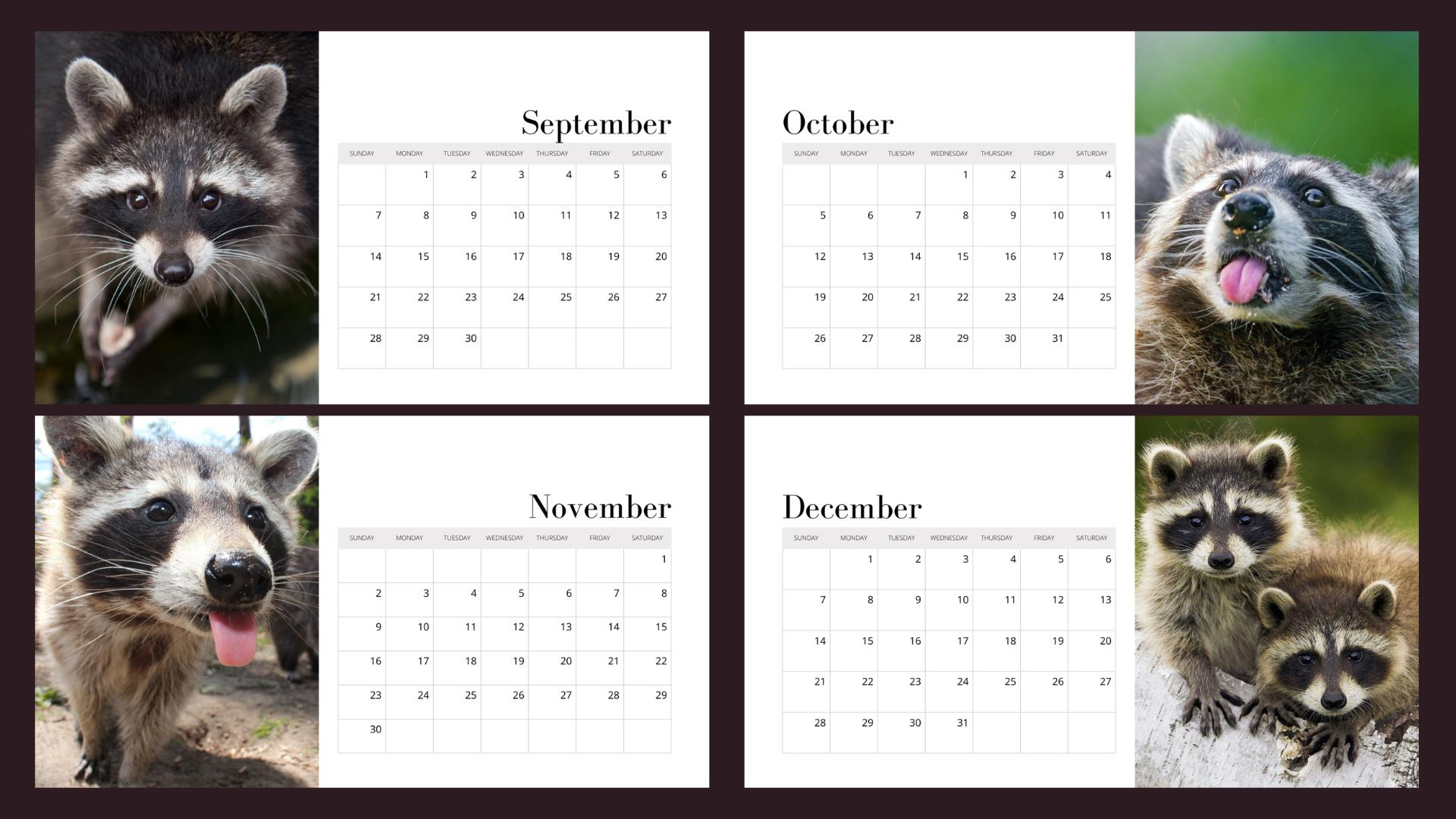 Funny Racoons 2025 Calendar - Etsy inside Rascally Raccoons 2025 Calendar Printable