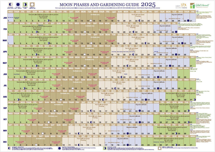 Graceful Garden 2025 Calendar Printable