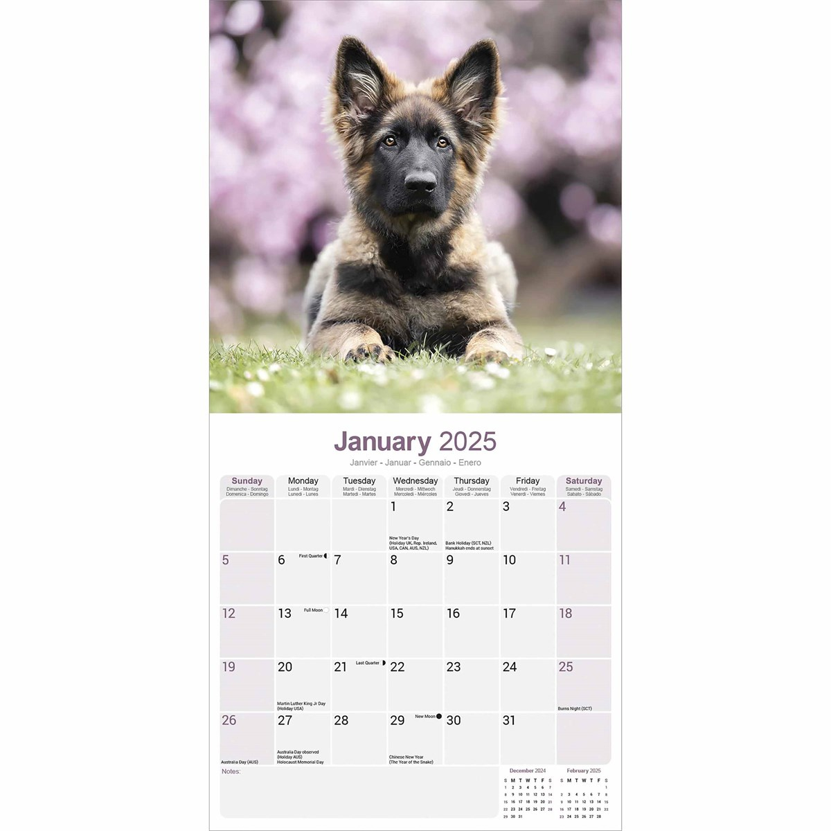 German Shepherd Puppies Calendar 2025 for Just German Shepherd Puppies 2025 Calendar Printable