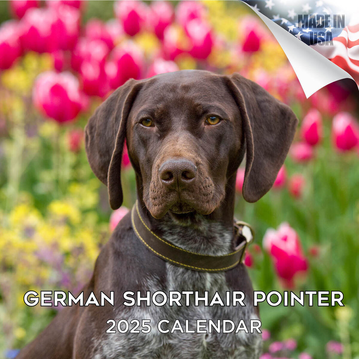German Shorthair Pointer Dog Breed Calendar 2025 Full Size 12X24 with Just German Shorthair Pointers 2025 Calendar Printable