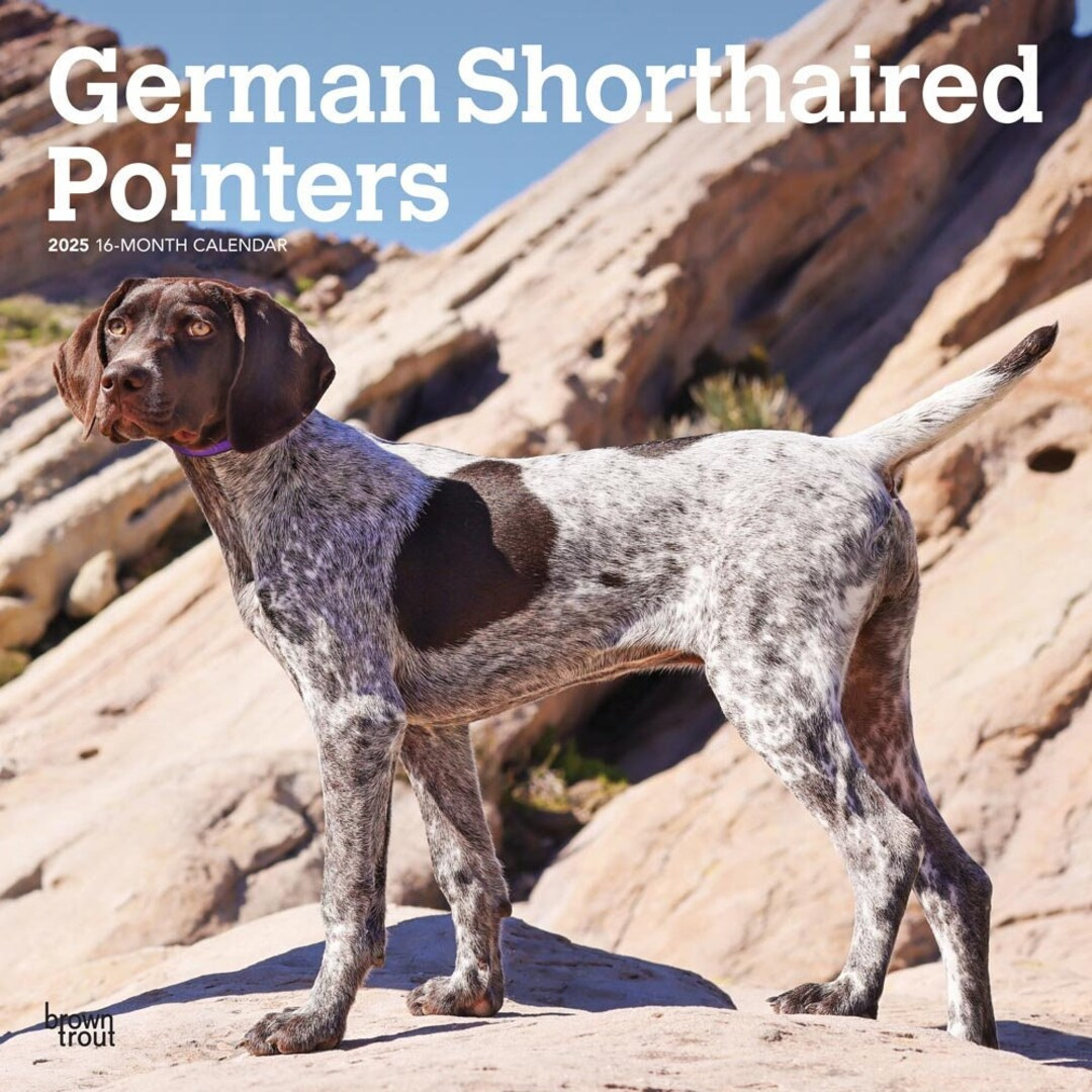 German Shorthaired Pointers Calendar 2025 | Square 30Cm X 30Cm inside Just German Shorthair Pointers 2025 Calendar Printable