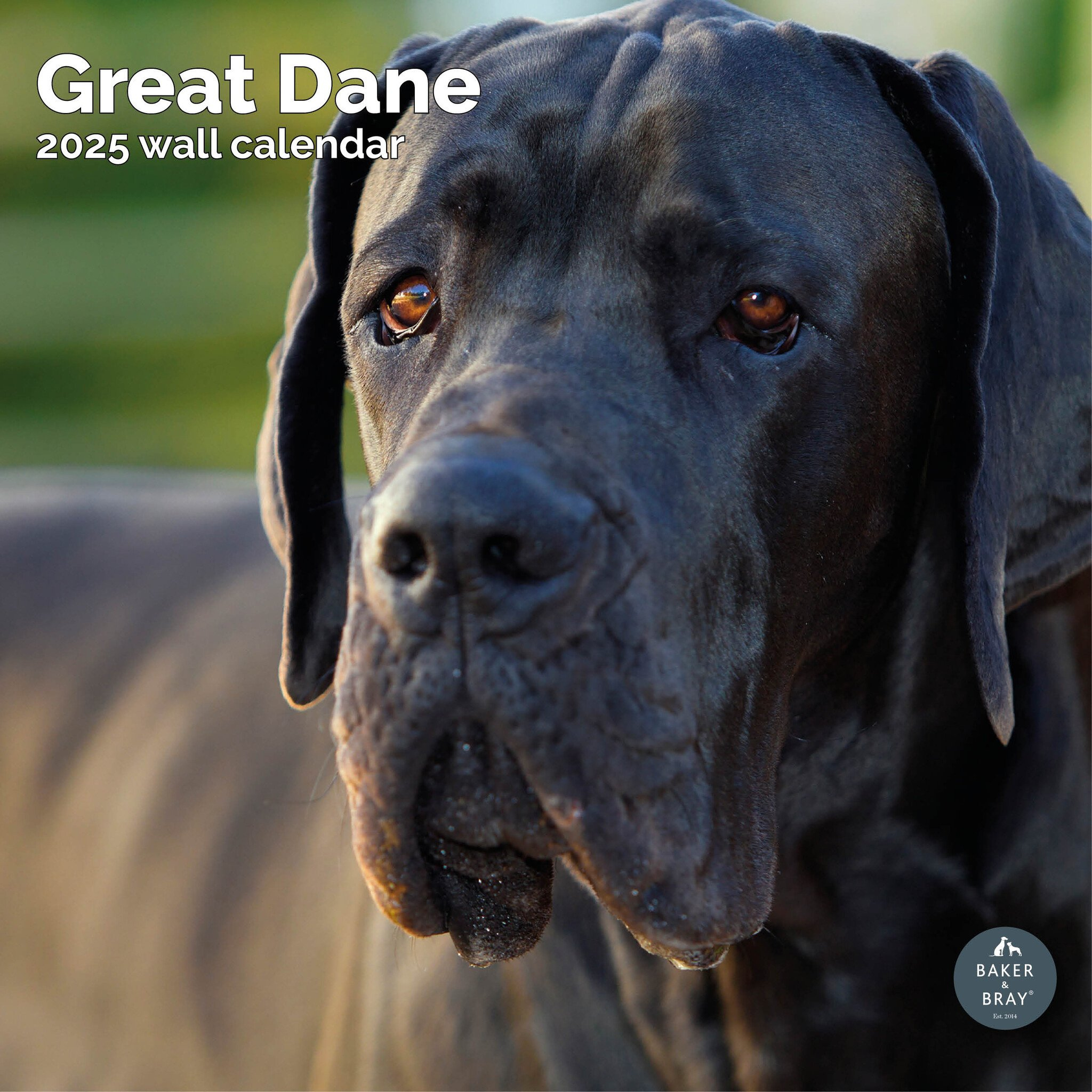 Great Dane Calendar 2025 Buy? Order Easily And Quickly Online throughout Just Great Danes 2025 Calendar Printable