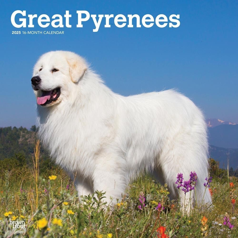 Great Pyrenees Calendar 2025 Square 30Cm X 30Cm 100% Plastic Free with regard to Great Pyrenees 2025 Calendar Printable