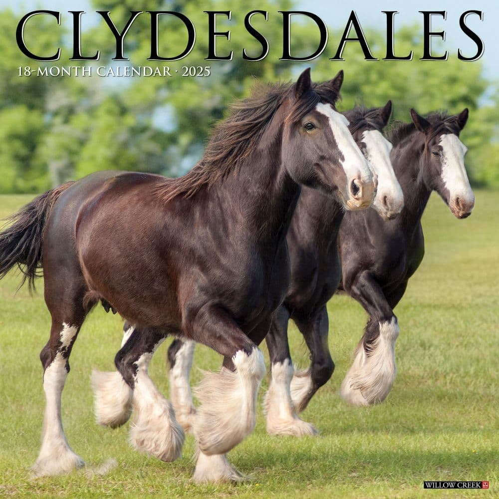 Gypsy Vanner Horse 2025 Wall Calendar - Walmart intended for Gypsy Vanner Horses 2025 Calendar Printable