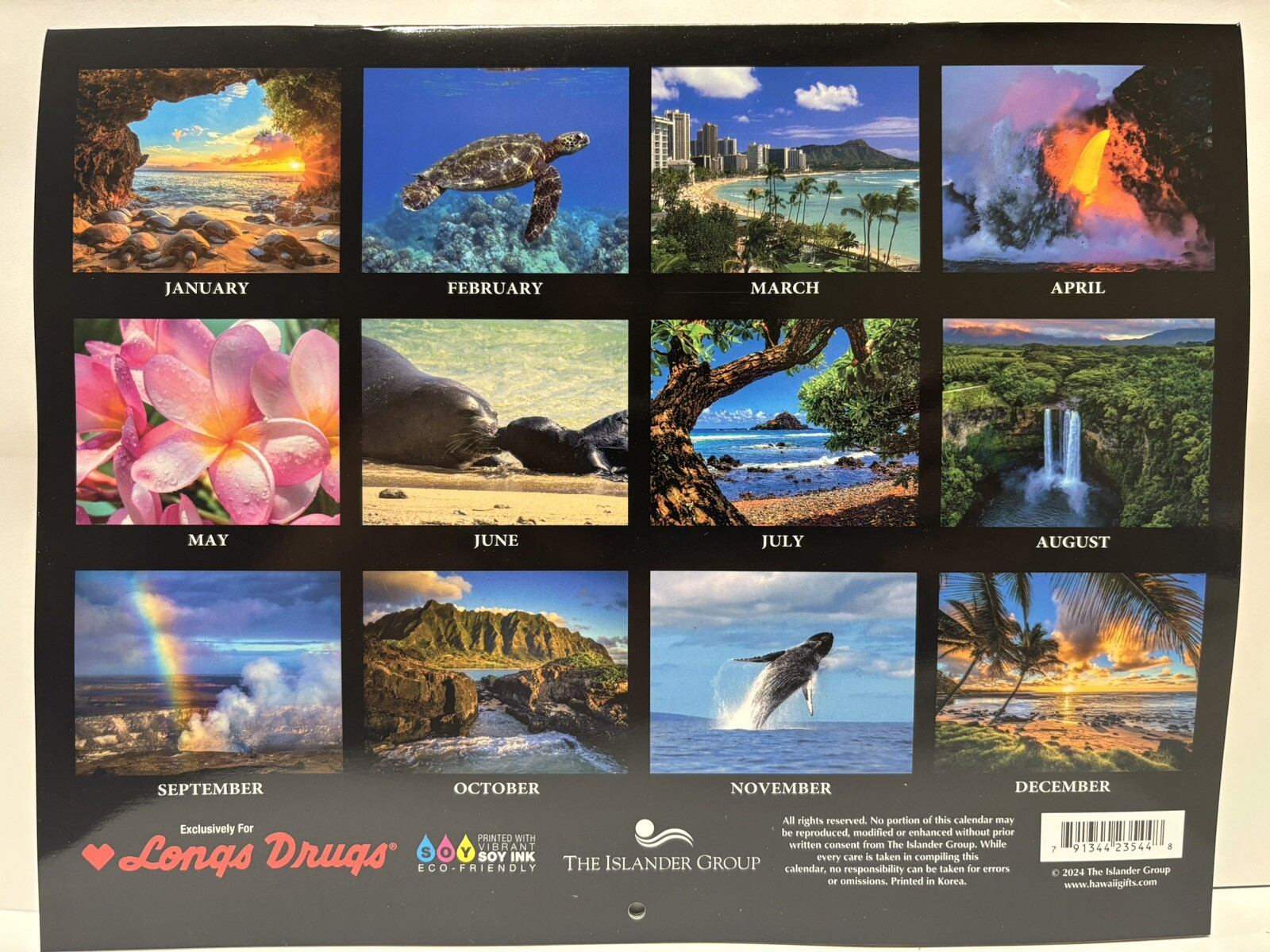 Hawaii 12 Month Calendar 2025 The Aloha State regarding Hawaii 2025 Calendar Printable