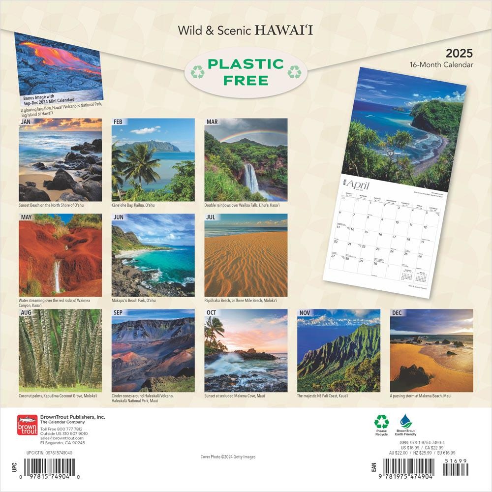Hawaii Wild &amp;amp; Scenic | 2025 12 X 24 Inch Monthly Square Wall inside Beckoning Barns 2025 Calendar Printable