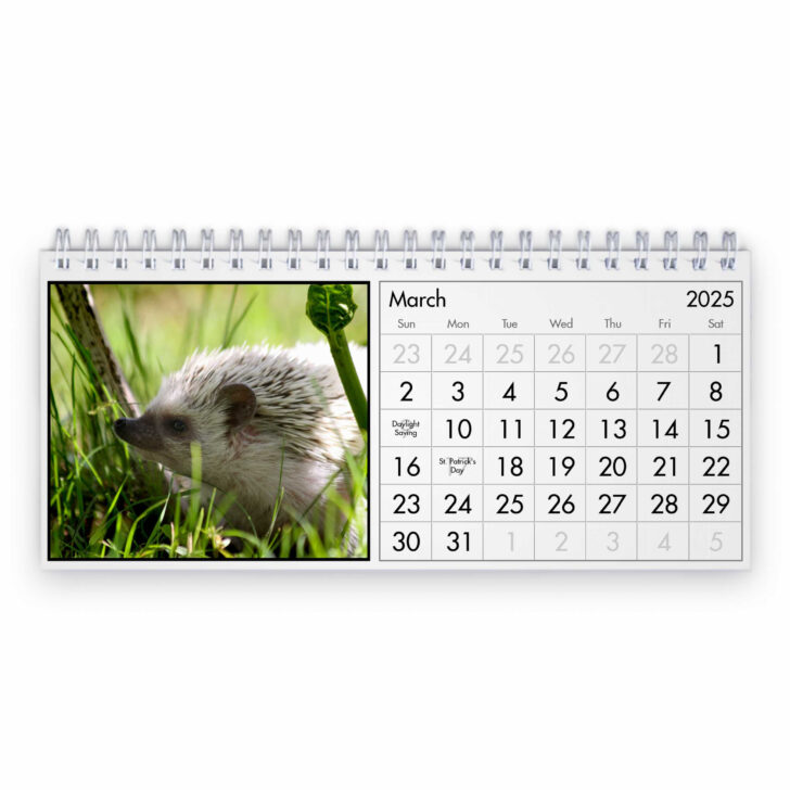 Hedgehogs 2025 Calendar  Printable