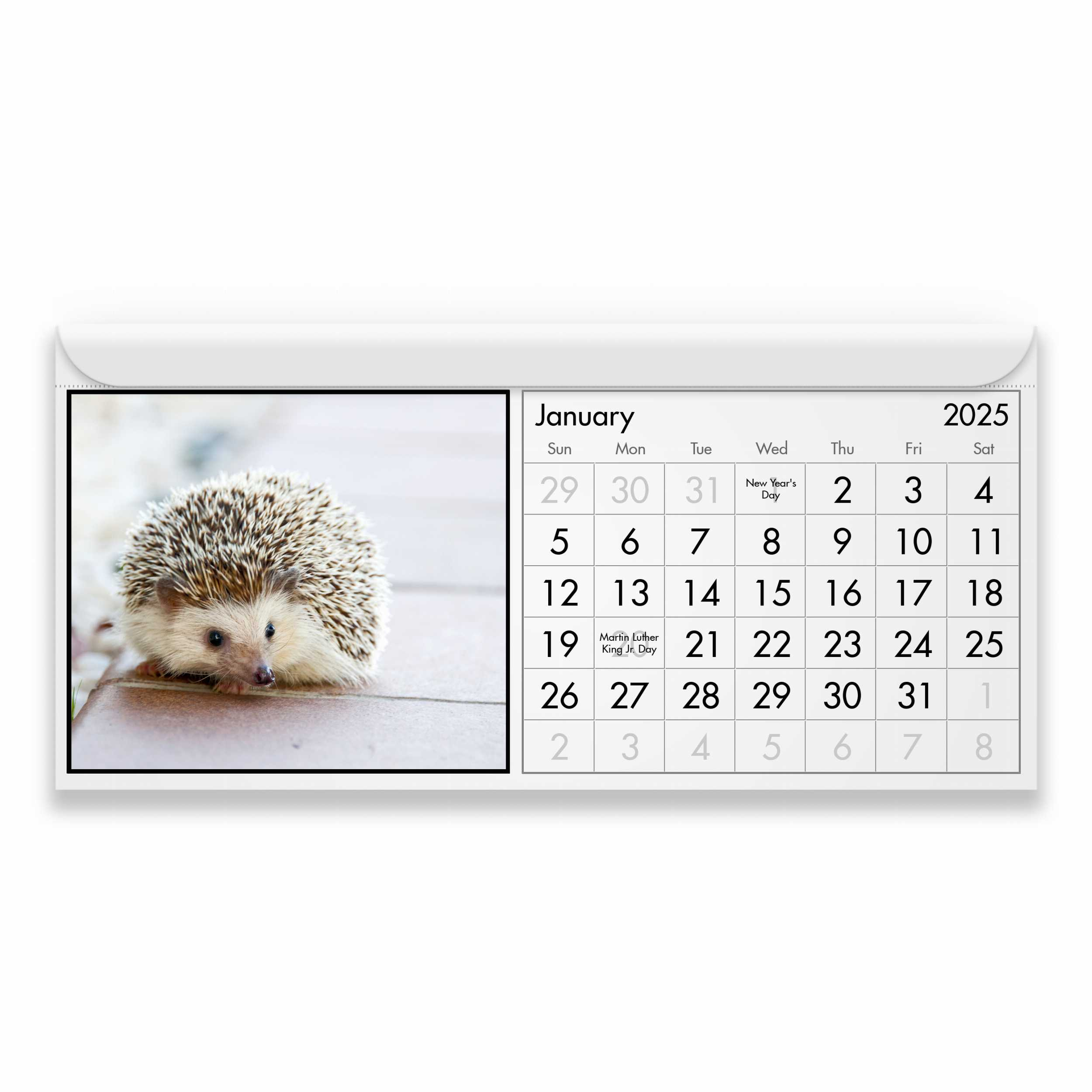 Hedgehog 2025 Magnetic Calendar throughout Hedgehogs 2025 Calendar Printable