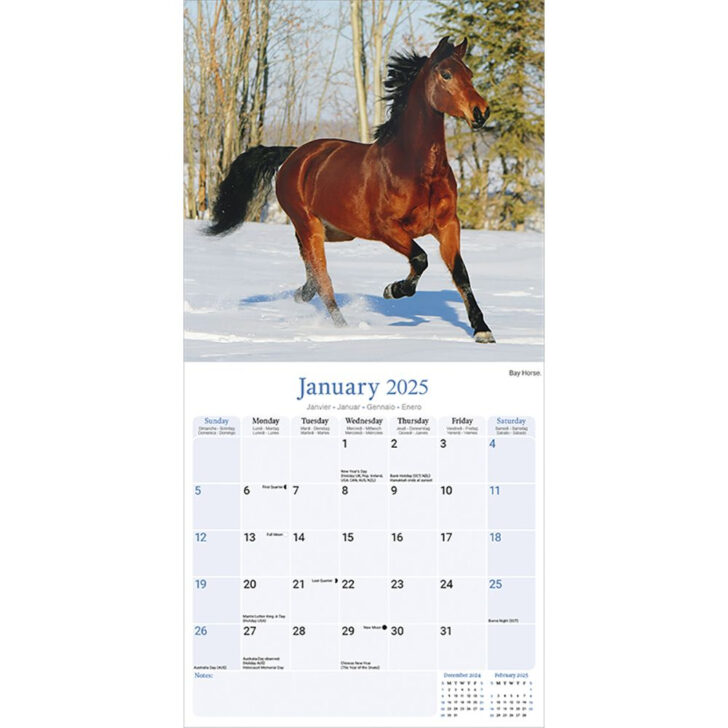 Clydesdales 2025 Calendar Printable