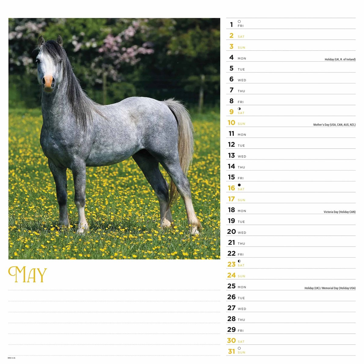 Horses Calendar 2026 regarding Horses 365 Days 2025 Calendar Printable