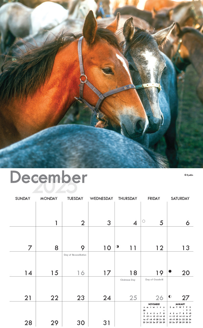 Horses &amp;amp; Ponies A4 Wall Calendar 2025 throughout Ponies 2025 Calendar Printable