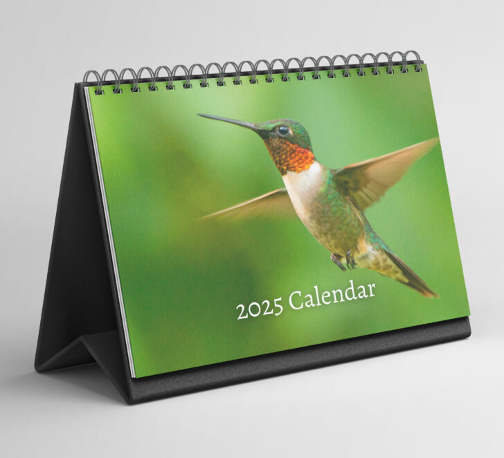 Hummingbirds 2025 Calendar  Printable