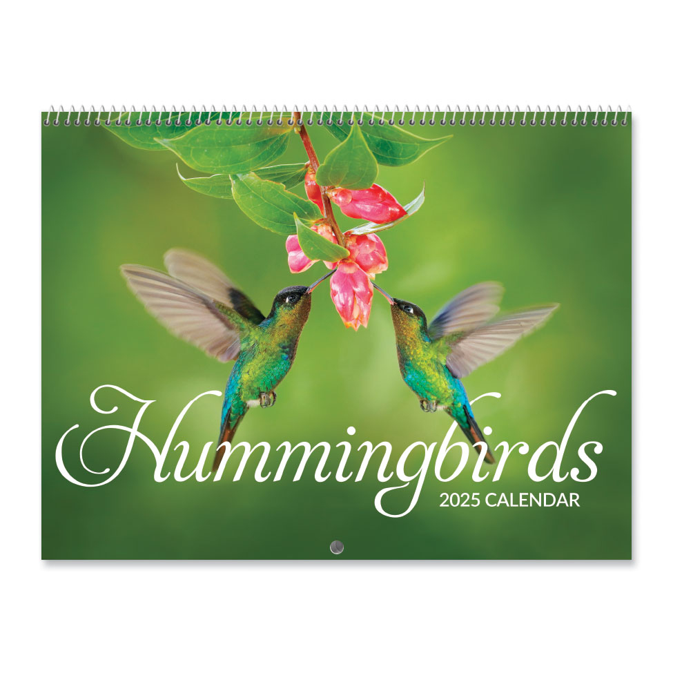 Hummingbirds 2025 Wall Calendar 621806 | Colorful Images for Hummingbirds 2025 Calendar Printable