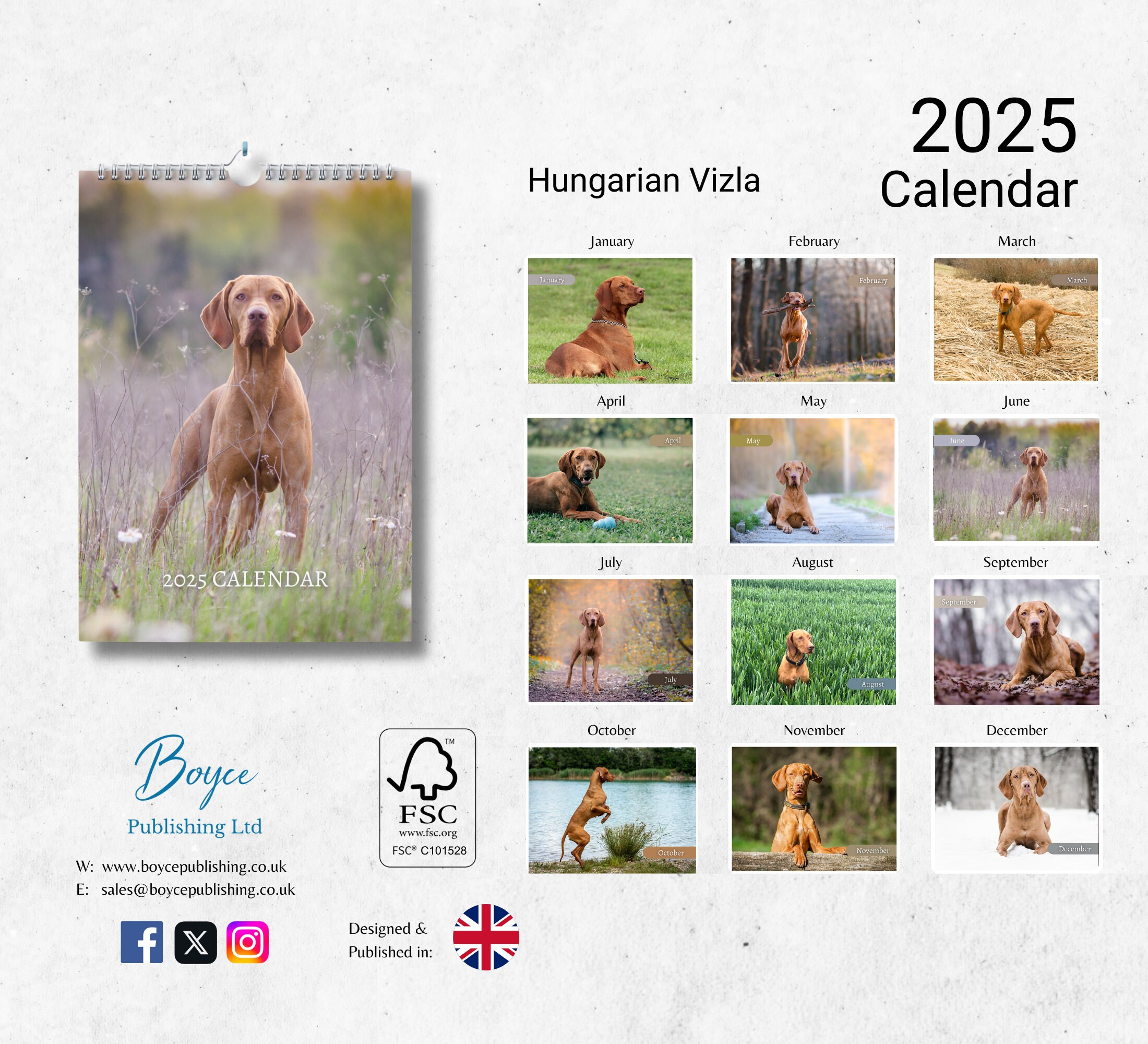 Hungarian Vizsla Calendar 2025: Monthly Wall Calendar With Notes inside Just Vizslas 2025 Calendar Printable