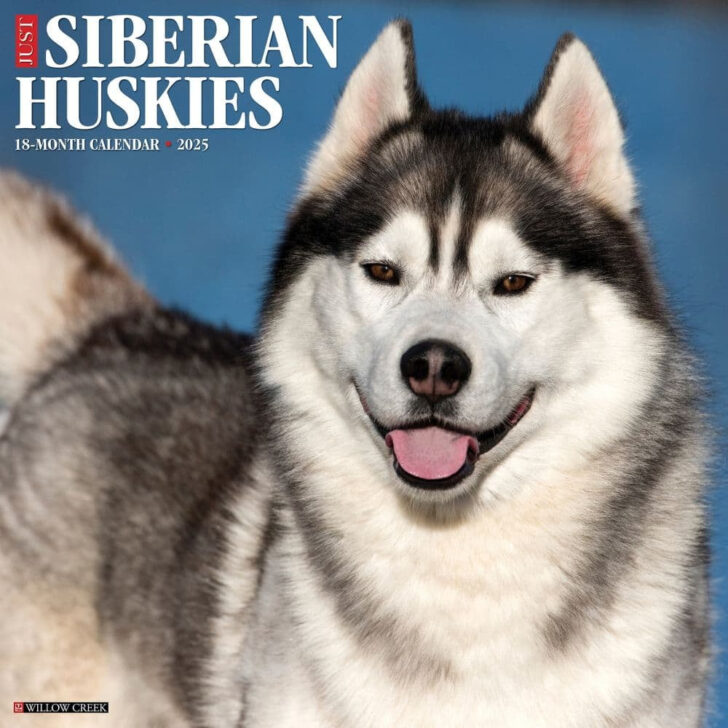 Just Siberian Husky Puppies 2025 Calendar Printable