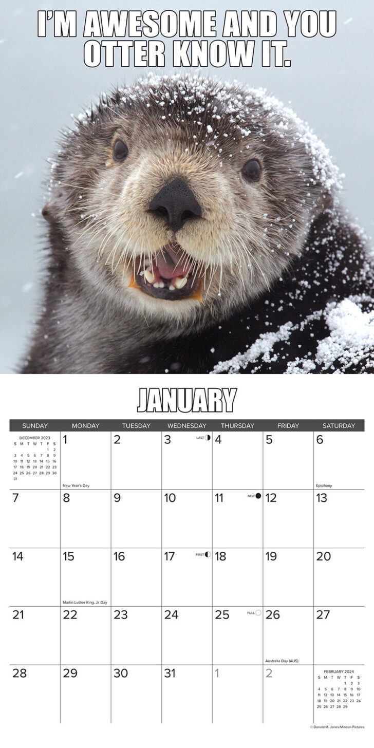 In Otter News 2025 Calendar Printable