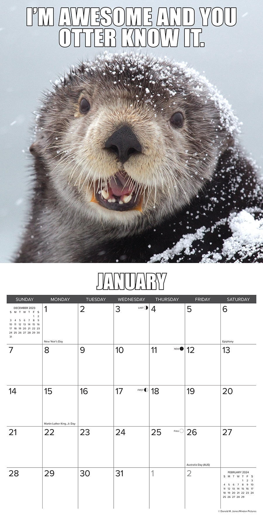 In Otter News 2024 12 X 12 Wall Calendar (Other) - Walmart with regard to In Otter News 2025 Calendar Printable