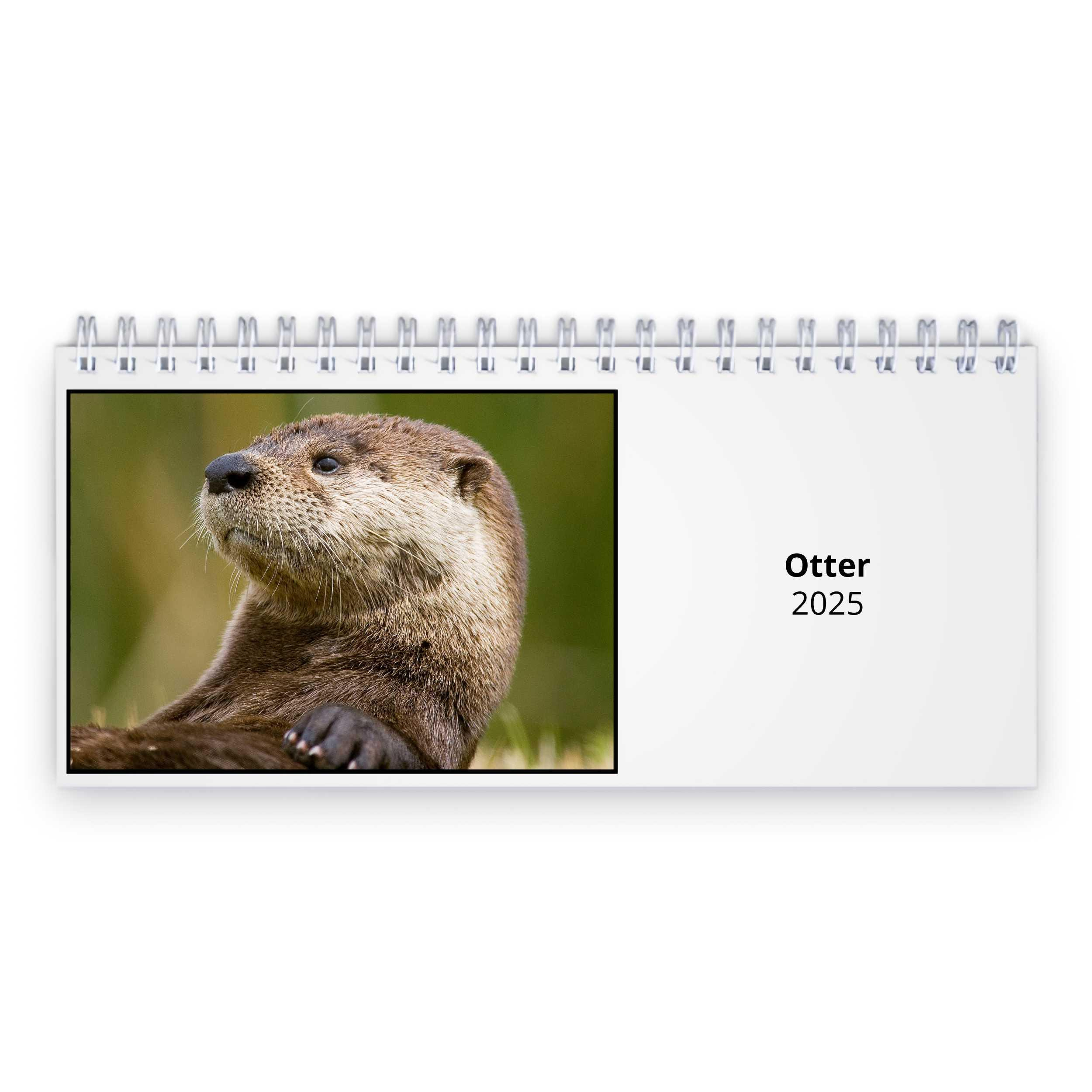 In Otter News Calendar - Etsy inside In Otter News 2025 Calendar Printable