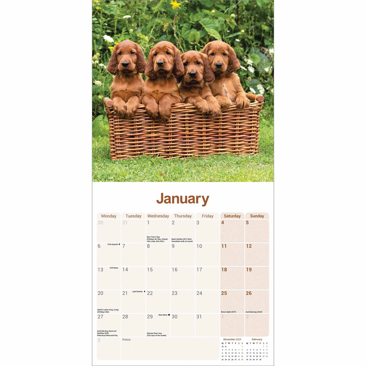 Irish Setter Calendar 2025 for Irish Setters Just 2025 Calendar Printable