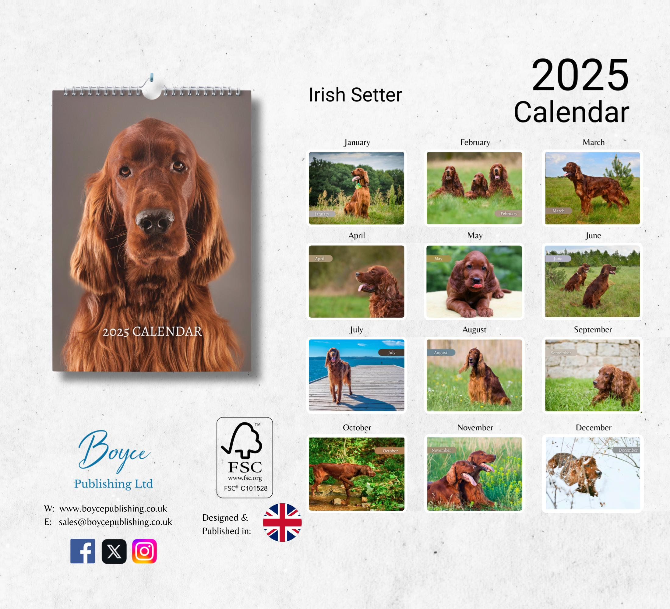 Irish Setter Calendar 2025: Monthly Wall Calendar With Notes regarding Irish Setters Just 2025 Calendar Printable