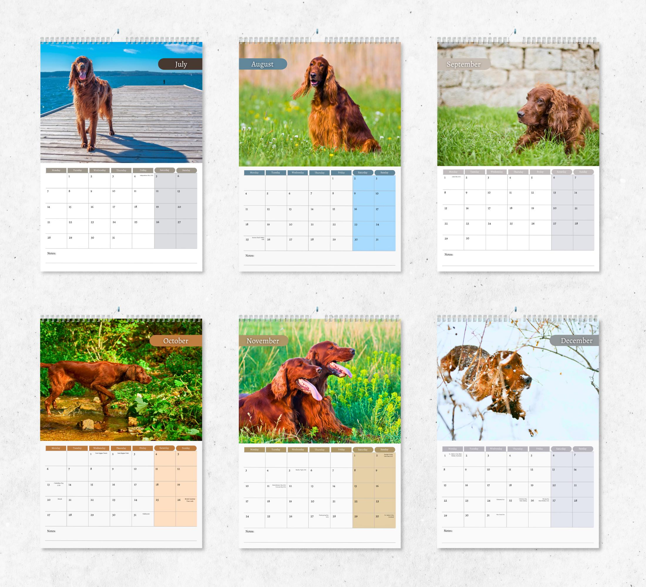 Irish Setter Calendar 2025: Monthly Wall Calendar With Notes throughout Irish Setters Just 2025 Calendar Printable