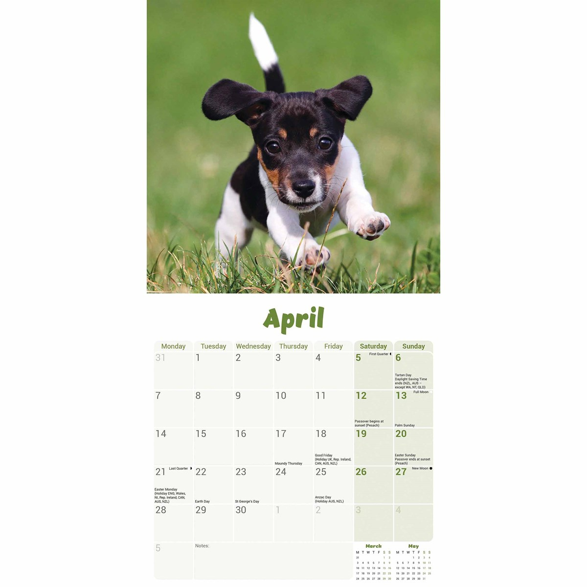 Jack Russell Puppies Mini Calendar 2025 within Just Jack Russells 2025 Calendar Printable