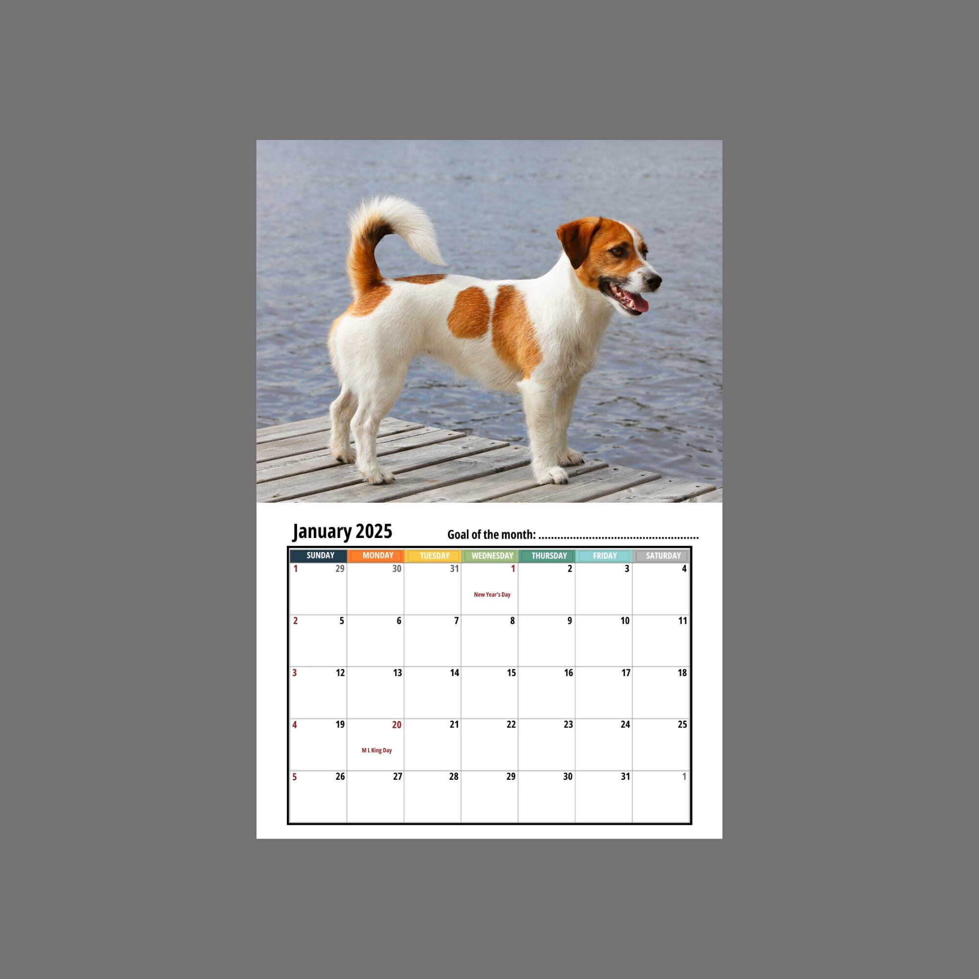 Jack Russell Terrier Wall Calendar 2025 - Etsy Canada regarding Just Jack Russells 2025 Calendar Printable