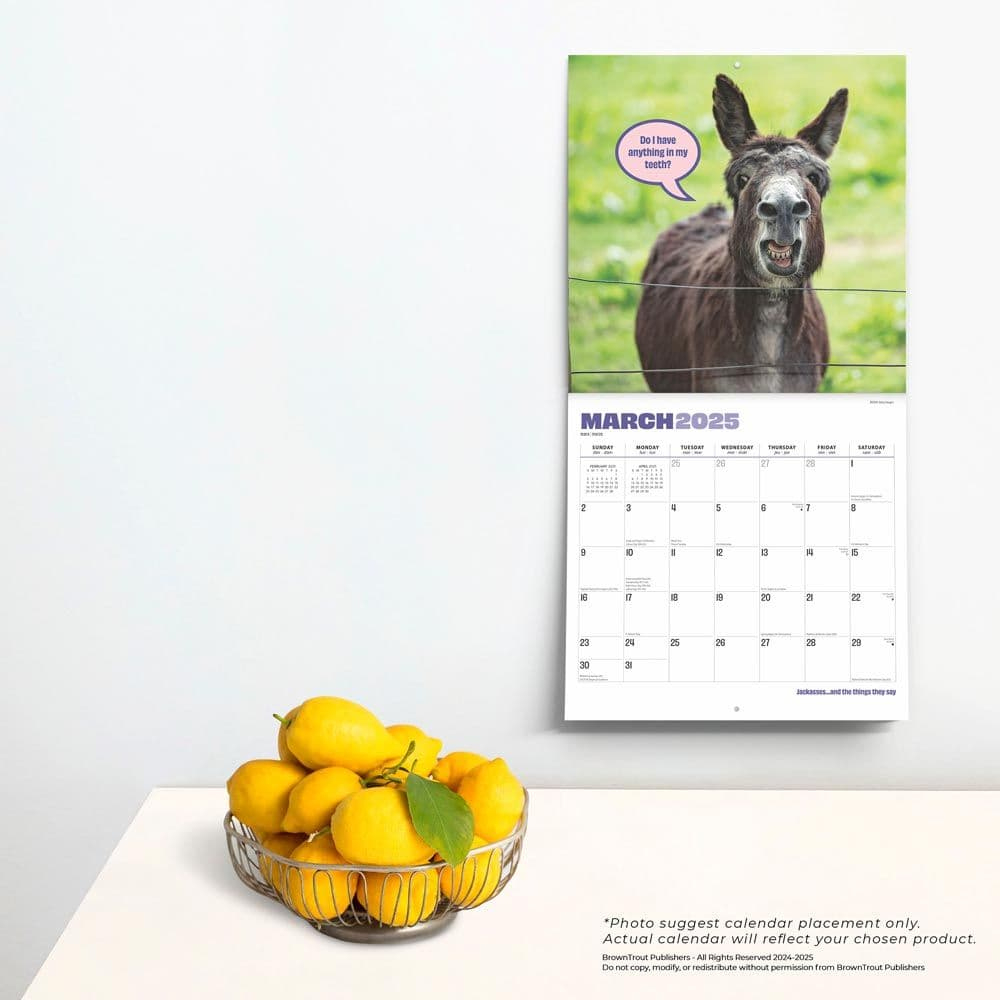 Jackasses 2025 Wall Calendar - Calendars in Jackass Yoga 2025 Calendar Printable