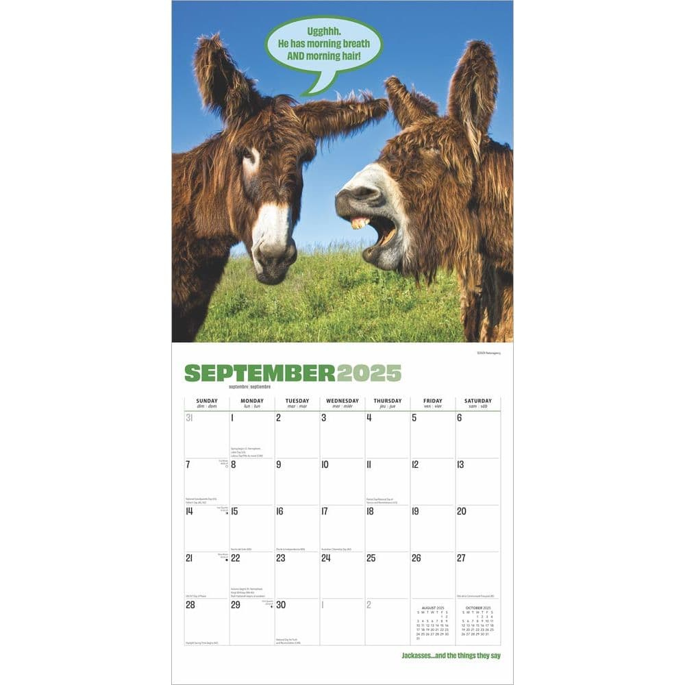 Jackasses 2025 Wall Calendar - Calendars throughout Jackass Yoga 2025 Calendar Printable