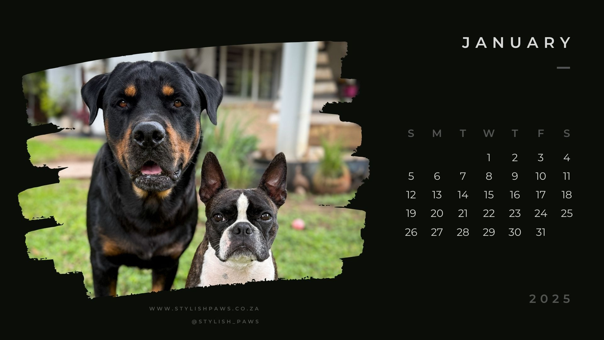 January 2025 Calendar - Stylish Paws inside Dog Dreams 2025 Calendar Printable