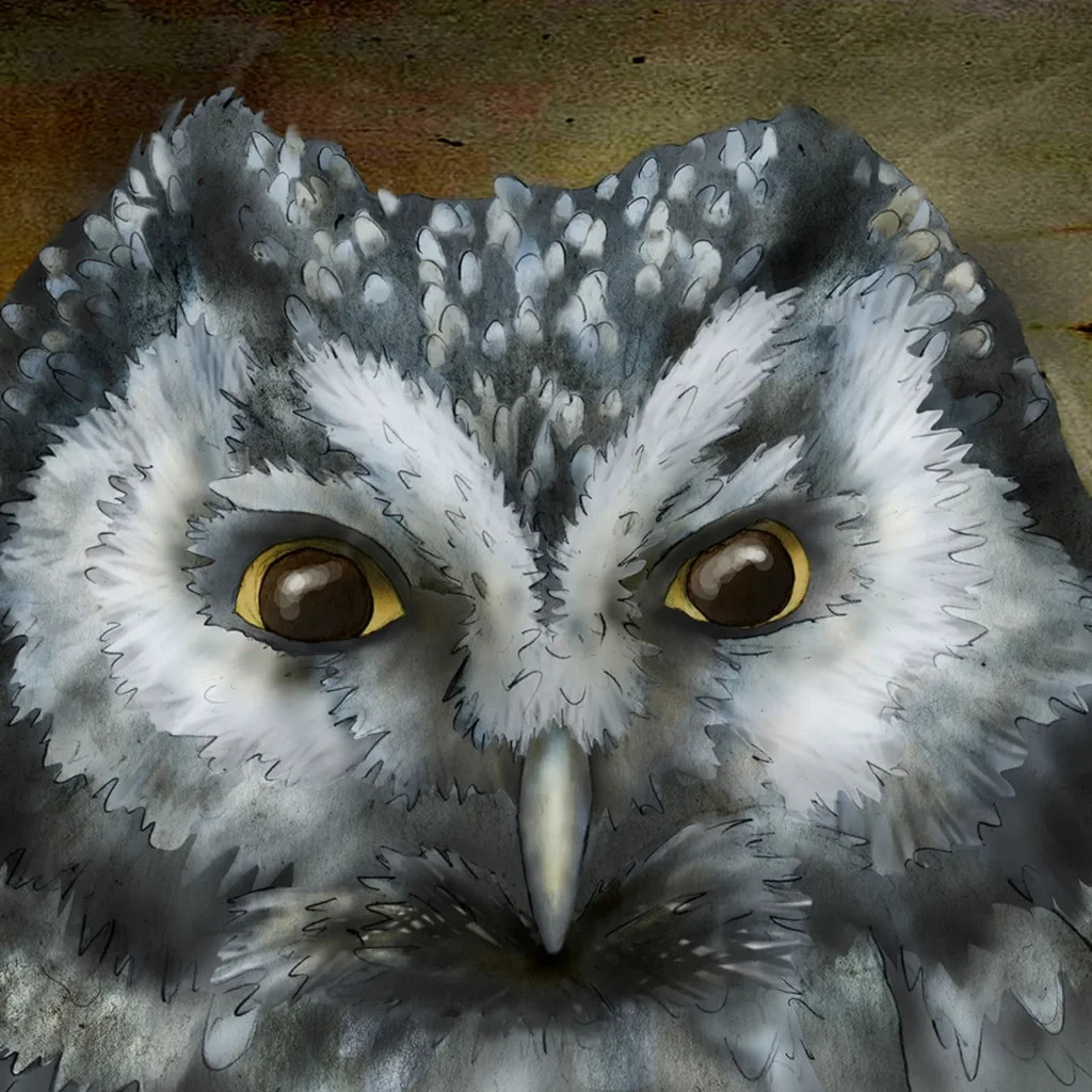 Jeannine Chappell – Blue Whole Gallery with Chappell Owls 2025 Calendar Printable