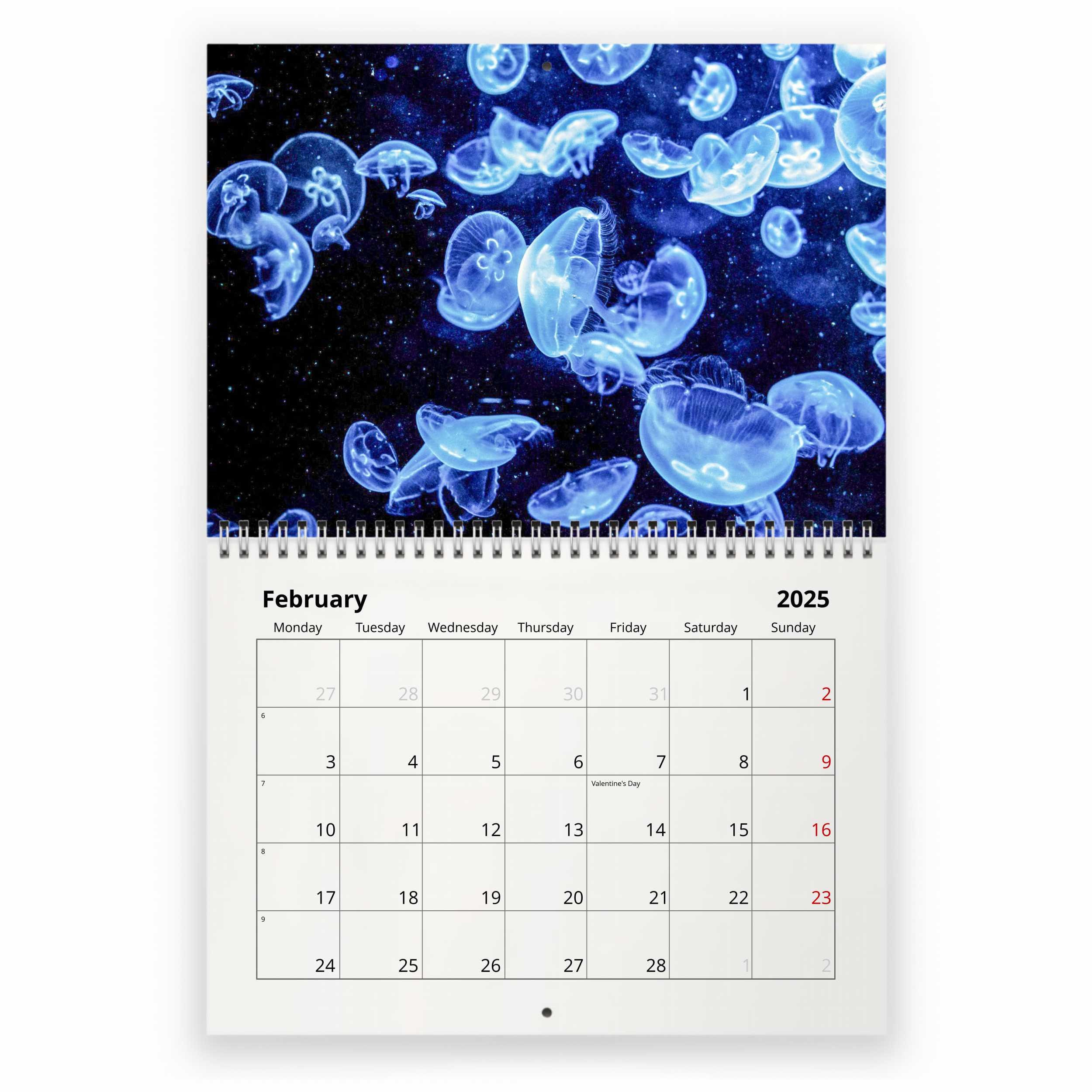 Jellyfish 2025 Wall Calendar Id:w23018 - Etsy Australia throughout Jellyfish 2025 Calendar Printable