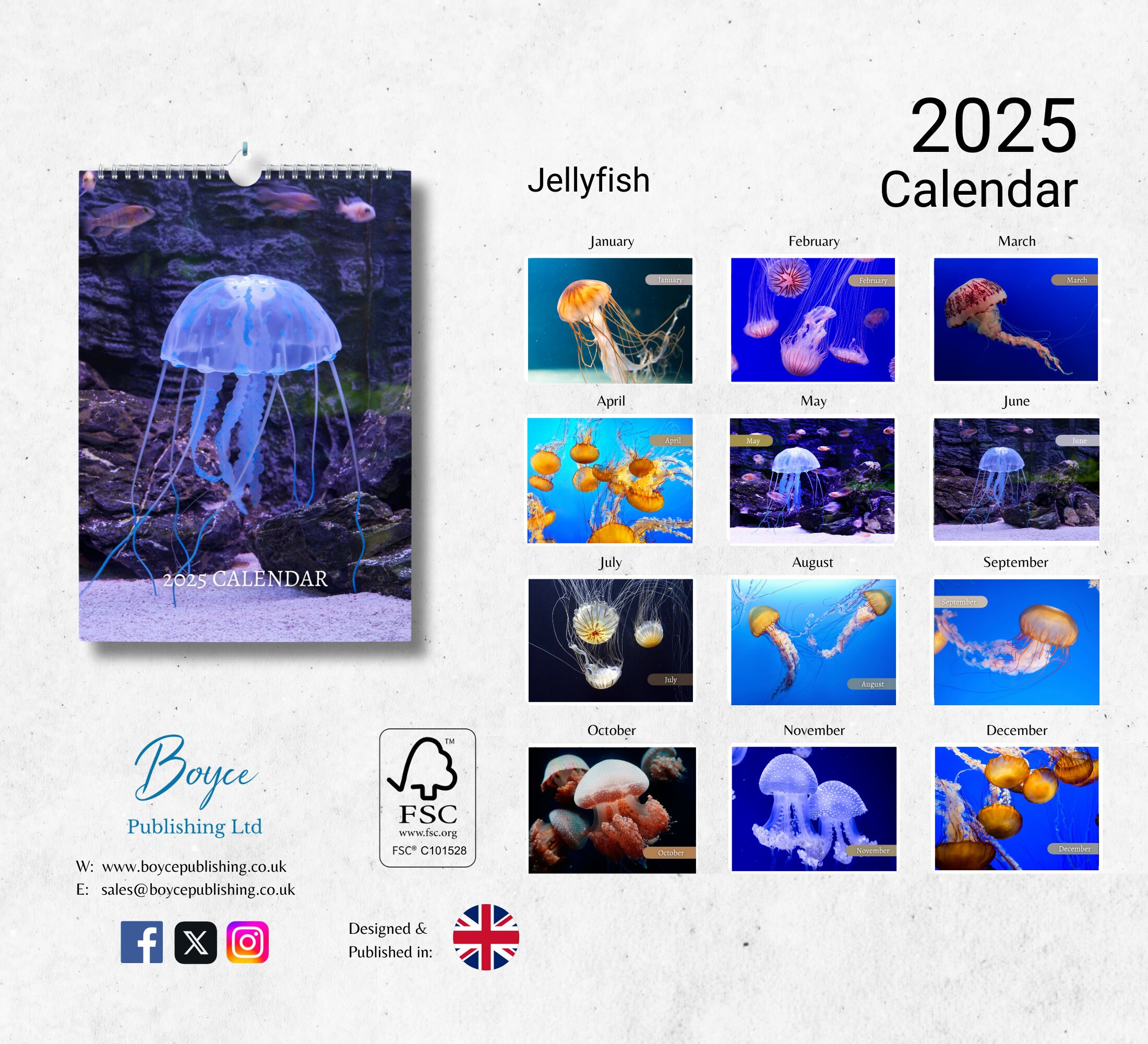 Jellyfish Calendar 2025: Monthly Wall Calendar With Notes, Hanging intended for Jellyfish 2025 Calendar Printable