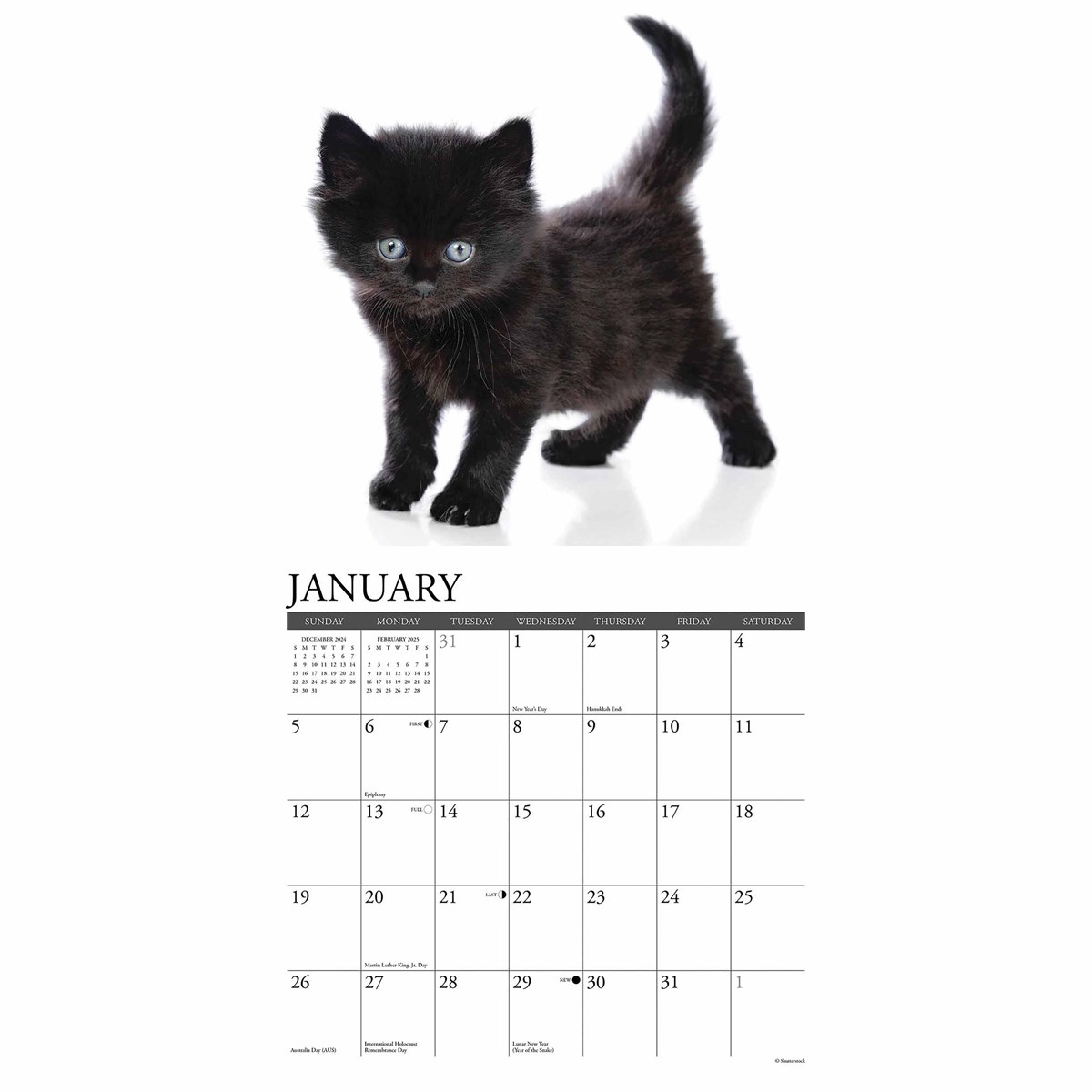 Just Black Kittens Calendar 2025 pertaining to Just Cats 2025 Calendar Printable