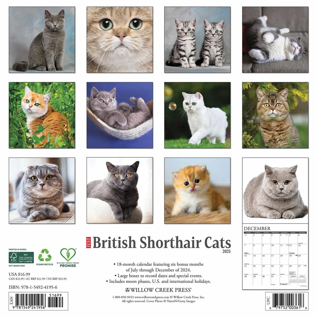 Just British Shorthair Cats Calendar 2025 in Just Cats 2025 Calendar Printable