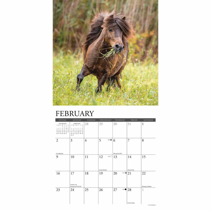 Ponies 2025 Calendar Printable