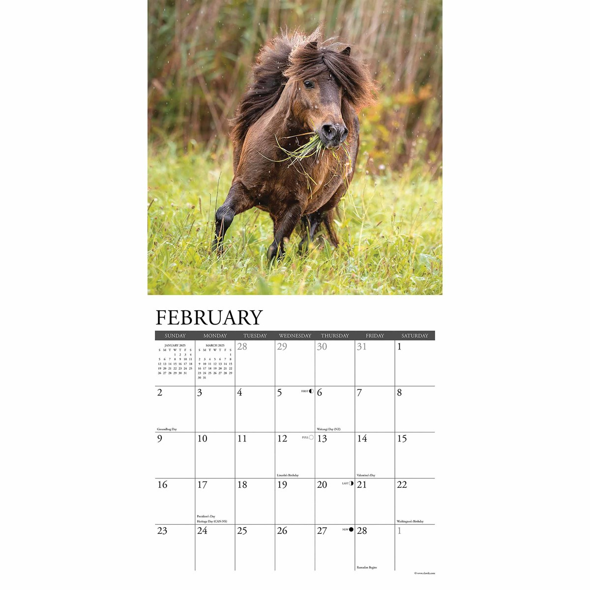 Just Ponies Calendar 2025 regarding Ponies 2025 Calendar Printable