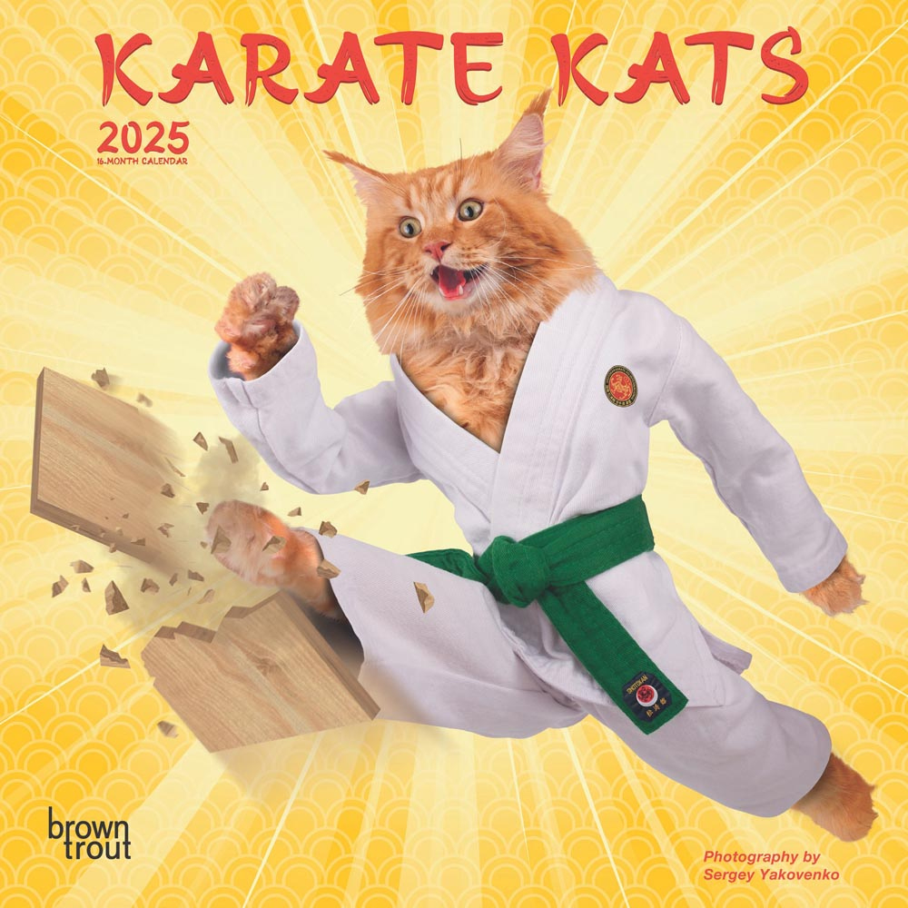 Karate Cats Official | 2025 7 X 14 Inch Monthly Mini Wall Calendar with Karate Cats 2025 Calendar Printable