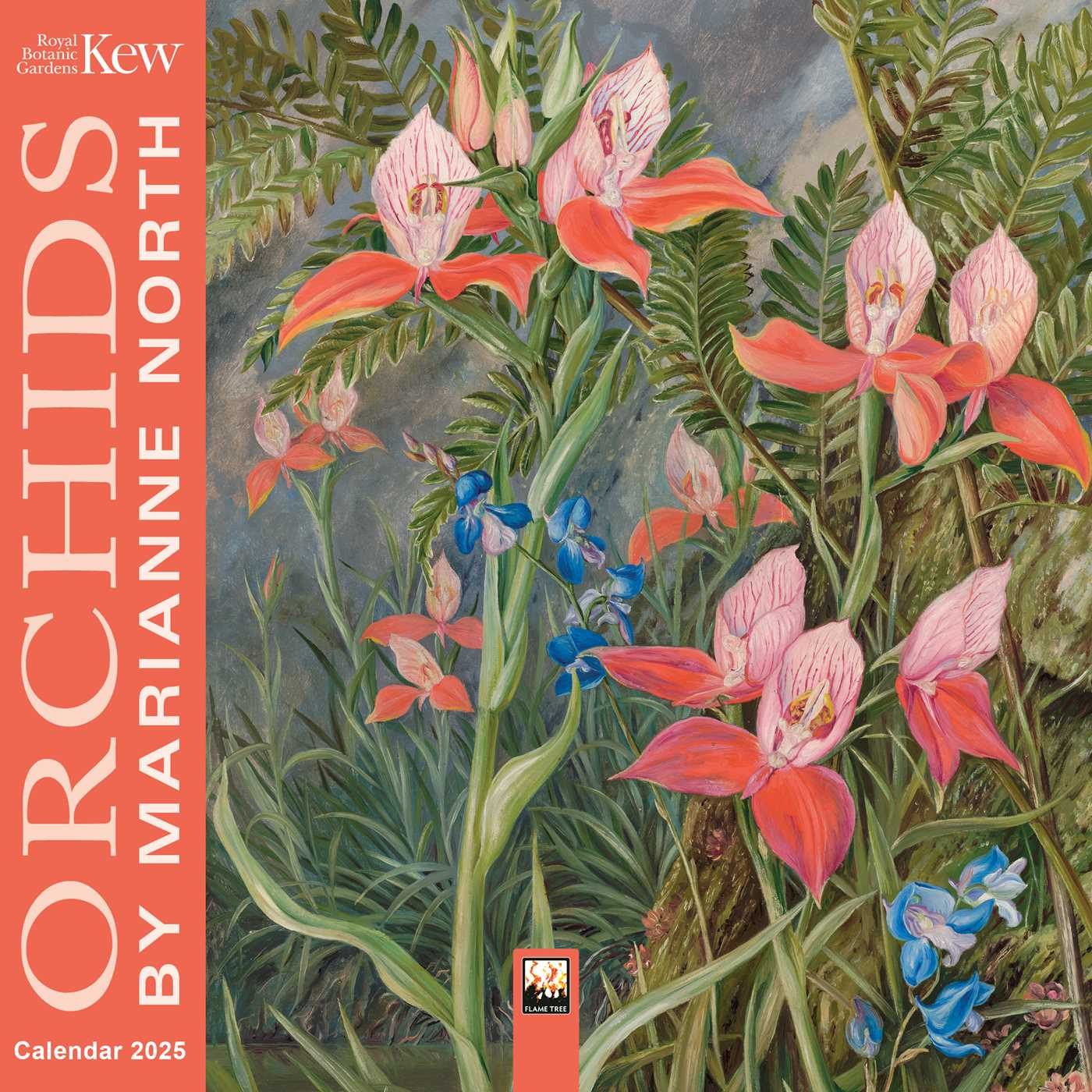 Kew Gardens: Orchidsmarianne North Mini Wall Calendar 2025 for New York Botanical Gardens Illusrated 2025 Calendar Printable