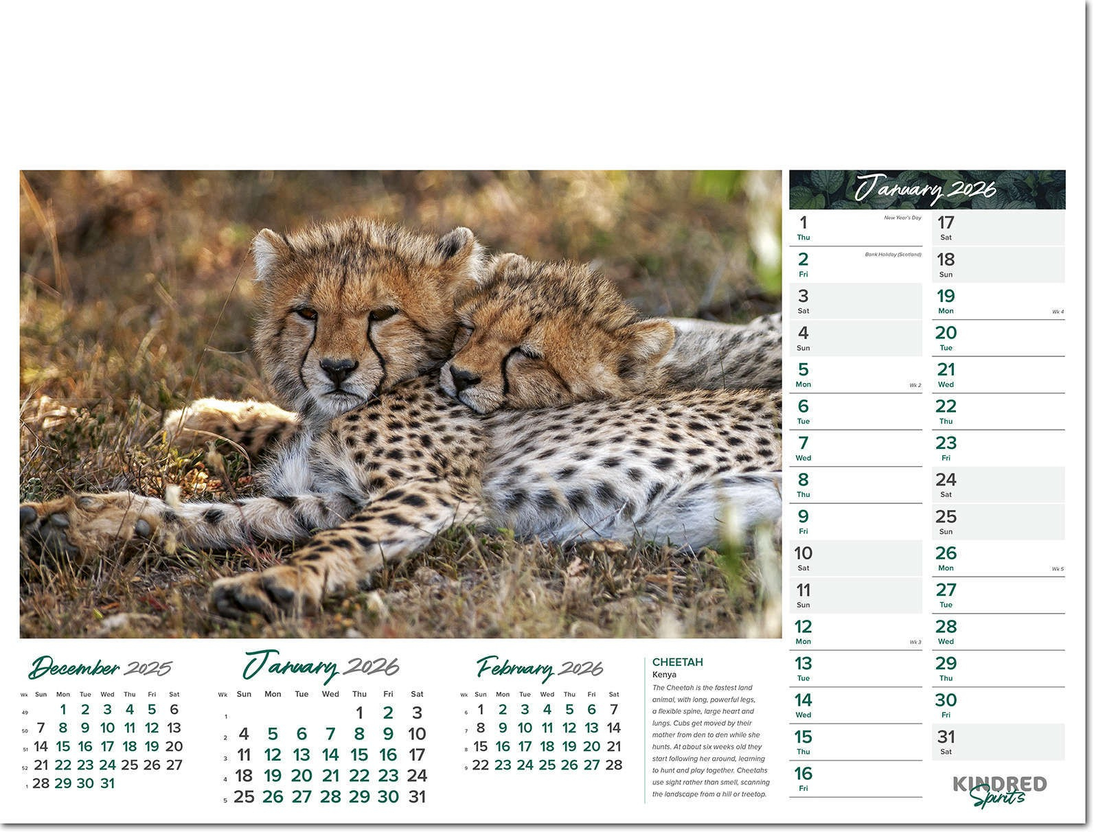 Kindred Spirits Promotional Calendar 2026 - Rose Calendars in Kindred Spirits 2025 Calendar Printable