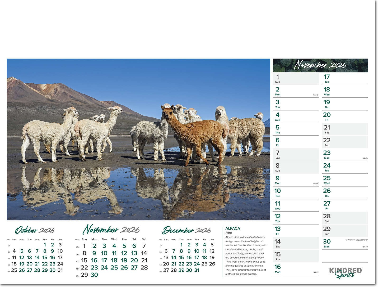 Kindred Spirits Promotional Calendar 2026 - Rose Calendars intended for Kindred Spirits 2025 Calendar Printable