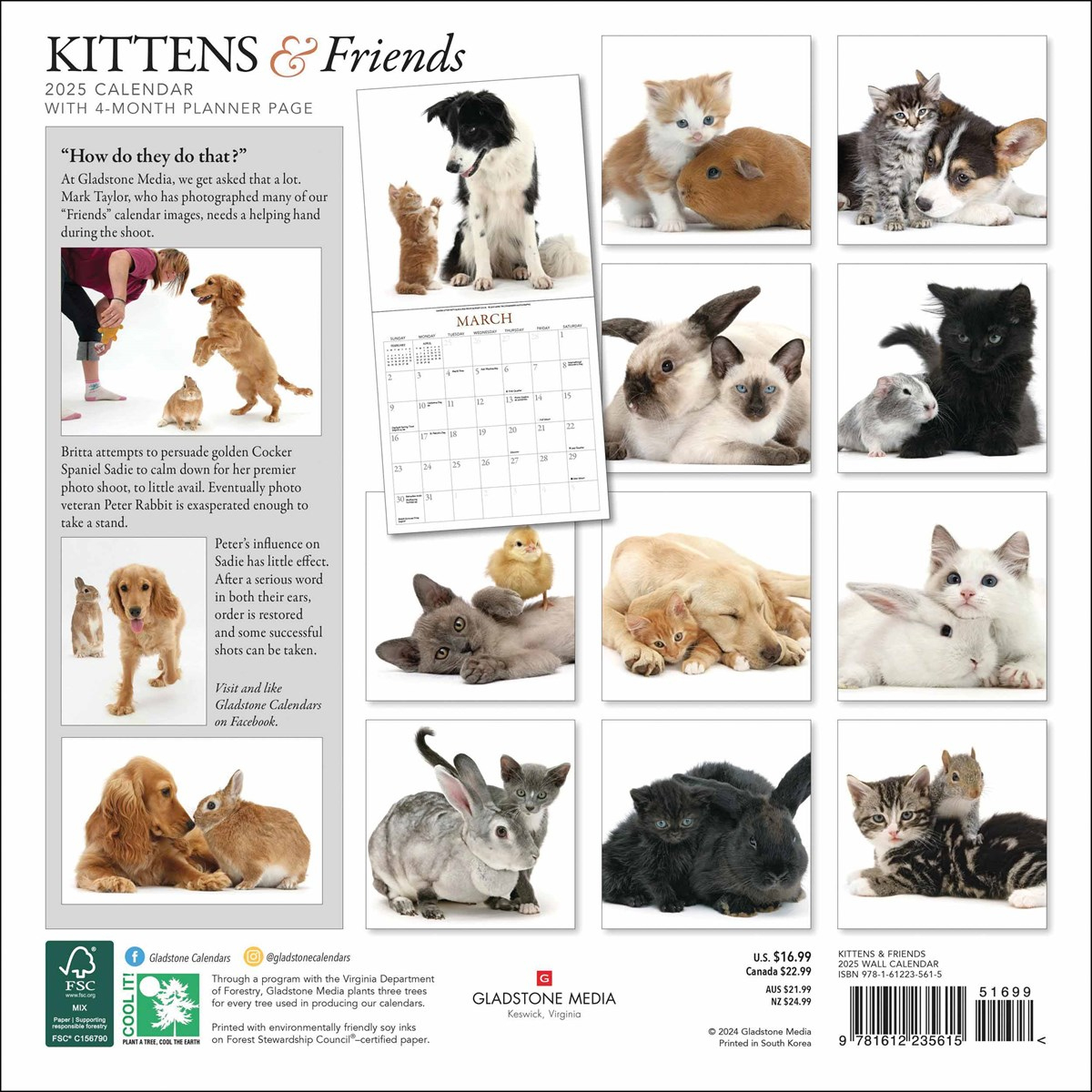 Kittens &amp;amp; Friends Calendar 2025 with Kittens And Friends 2025 Calendar Printable