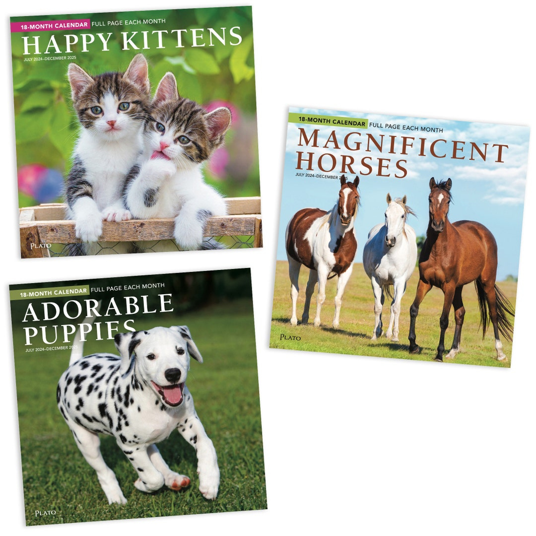 Kittens, Puppies, And Horses 2025 18 Months Bundle | Three Square regarding Magnificent Horses Plato 2025 Calendar Printable