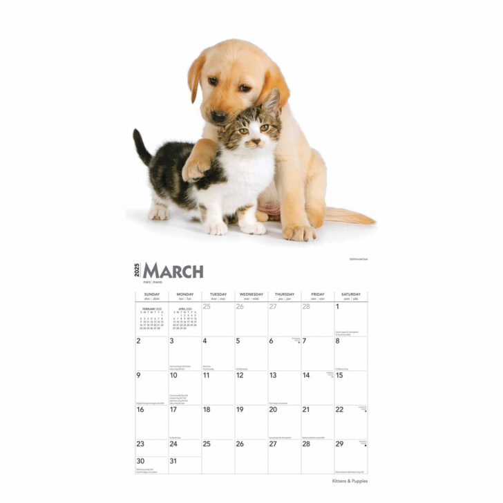 Kittens and Puppies 2025 Calendar Printable