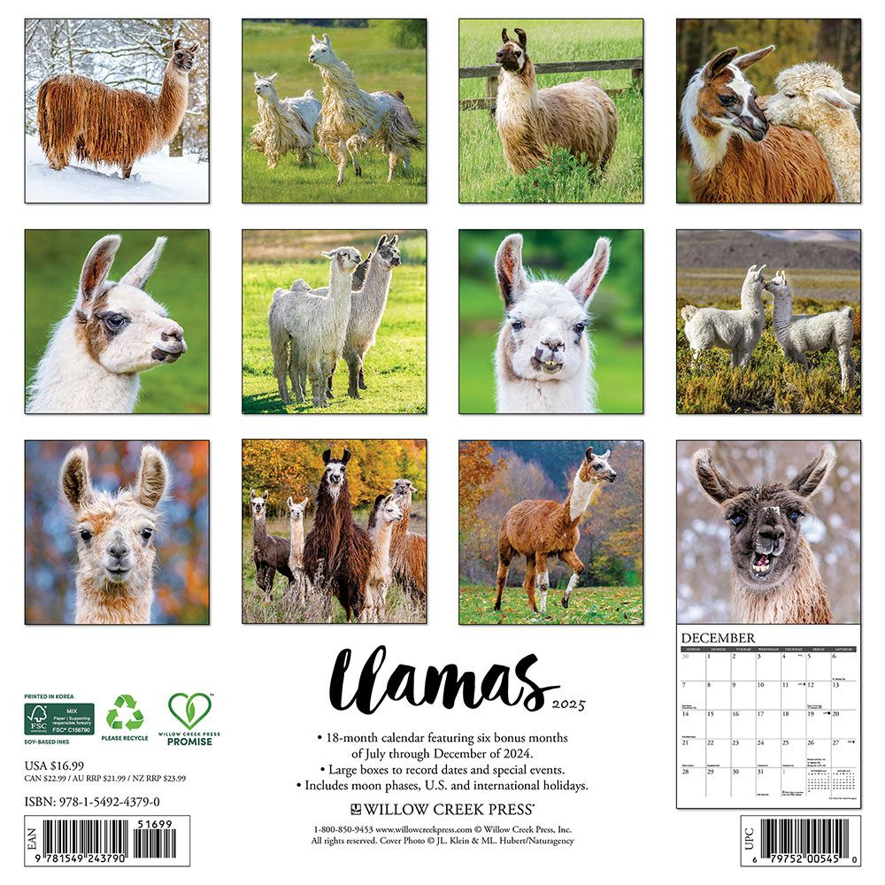 Lhasa Apsos Calendar 2025 Willow Creek|Animalden intended for Lhasa Apsos 2025 Calendar Printable
