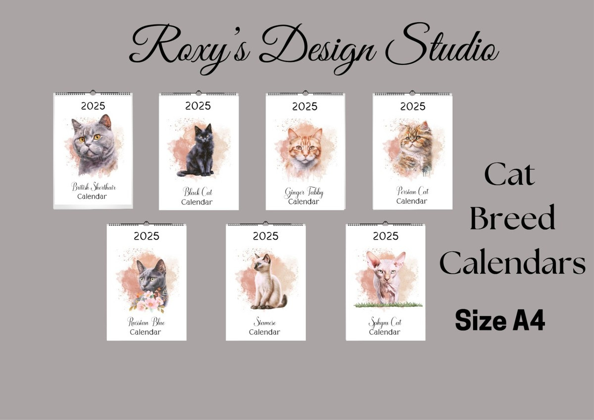 Little Ginger British Hotsell Shorthair inside British Shorthair Cats 2025 Calendar Printable